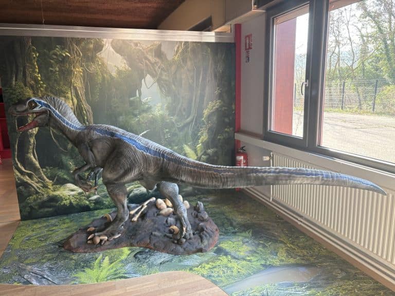 Dino lino